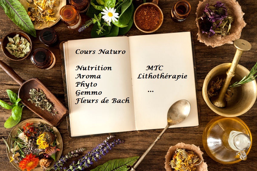 cours de naturopathie en groupe – ETSN Court-Saint-Etienne